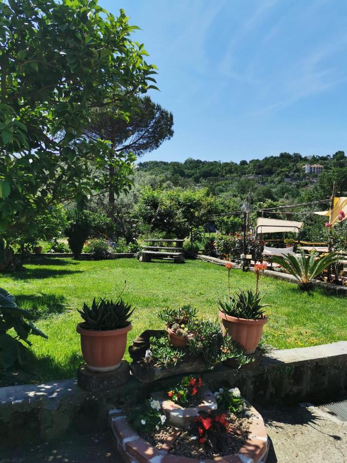 L'Angolo Di Campagna Piano di Sorrento Eksteriør bilde