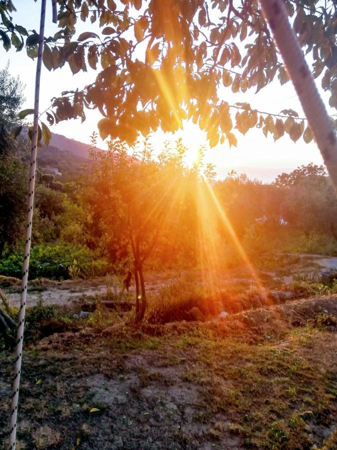 L'Angolo Di Campagna Piano di Sorrento Eksteriør bilde
