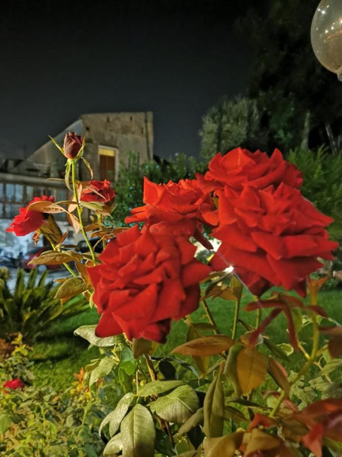 L'Angolo Di Campagna Piano di Sorrento Eksteriør bilde